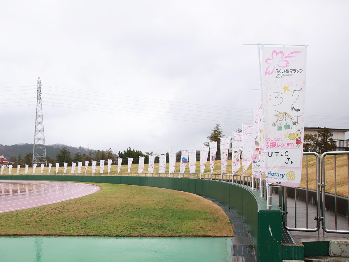 ジュニアアスリート育成事業 画像12